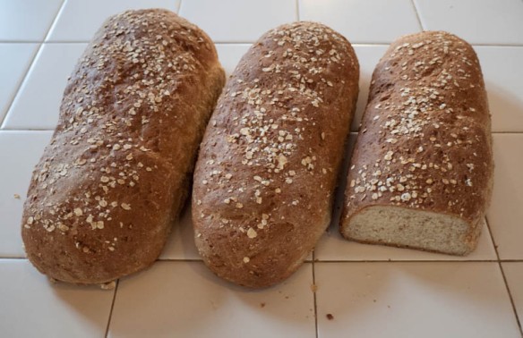 oat breads